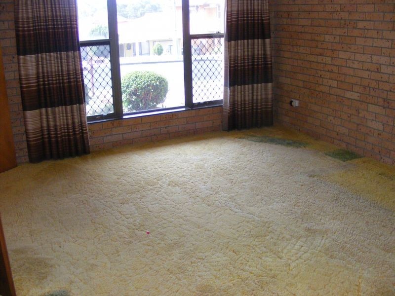 9 Emmanuel Crescent, South West Rocks NSW 2431