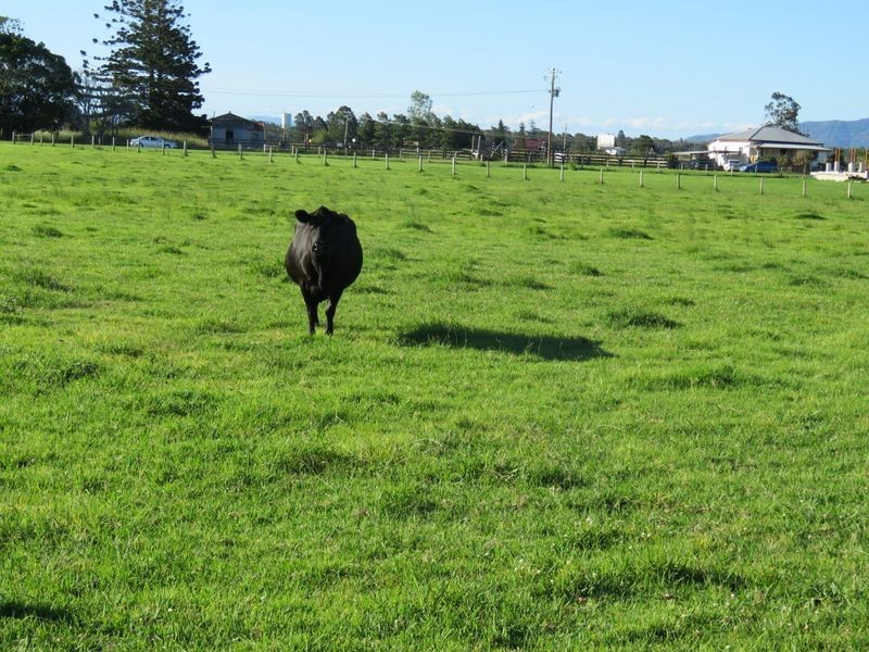 33 Croads Lane, Clybucca NSW 2440