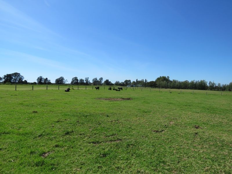 94 Left Bank Road, Kinchela NSW 2440