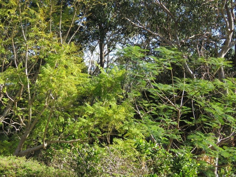 6 Quarry Street, South West Rocks NSW 2431