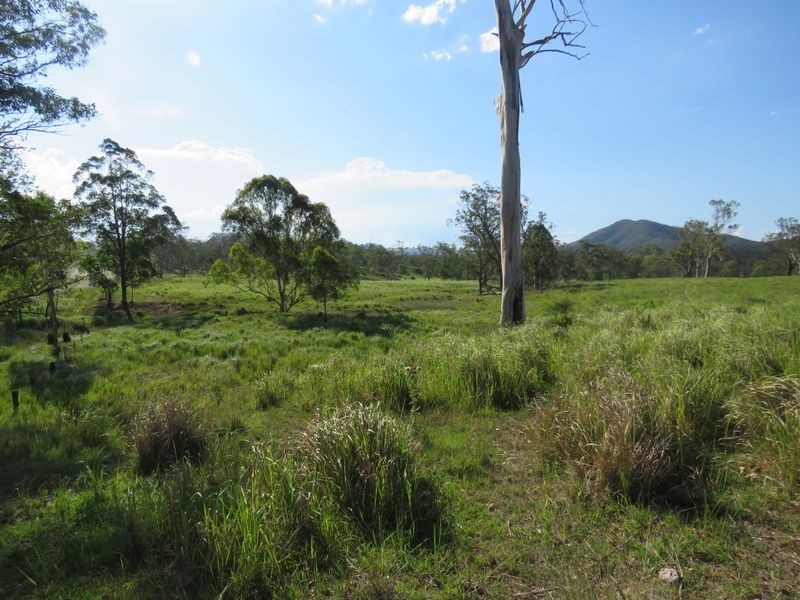 Lot 1004 & Willi Willi Road, Moparrabah NSW 2440
