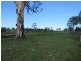 Lot 1004 & Willi Willi Road, Moparrabah NSW 2440