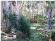 4 Carri Street, Arakoon NSW 2431