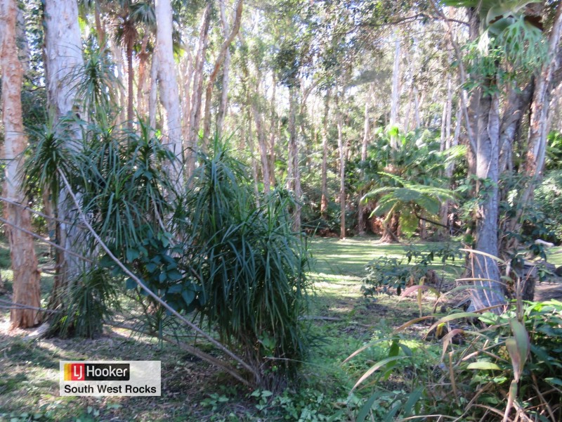 4 Carri Street, Arakoon NSW 2431