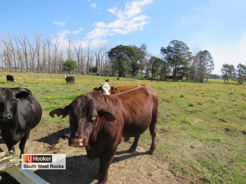 171 Boyters Lane, Jerseyville NSW 2431