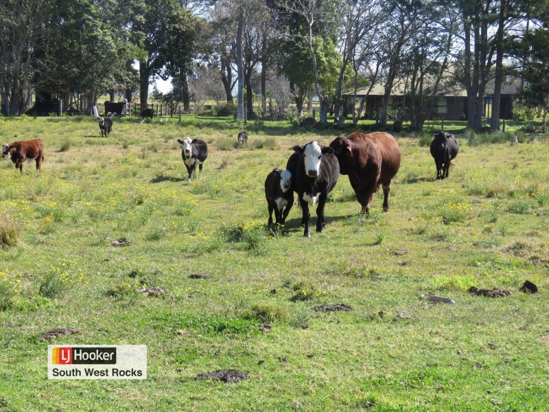 171 Boyters Lane, Jerseyville NSW 2431