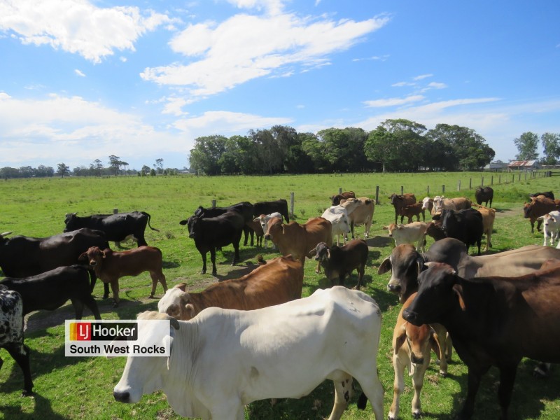 340 Plummers Lane, Clybucca NSW 2440
