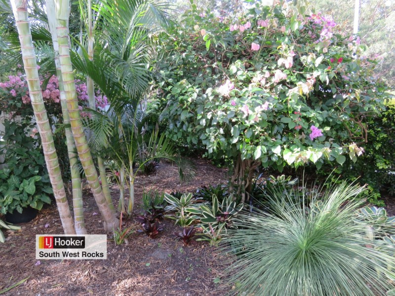 34-36 Landsborough Street, South West Rocks NSW 2431