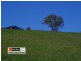 Lot 1 in D Five Day Creek Road, Comara NSW 2440
