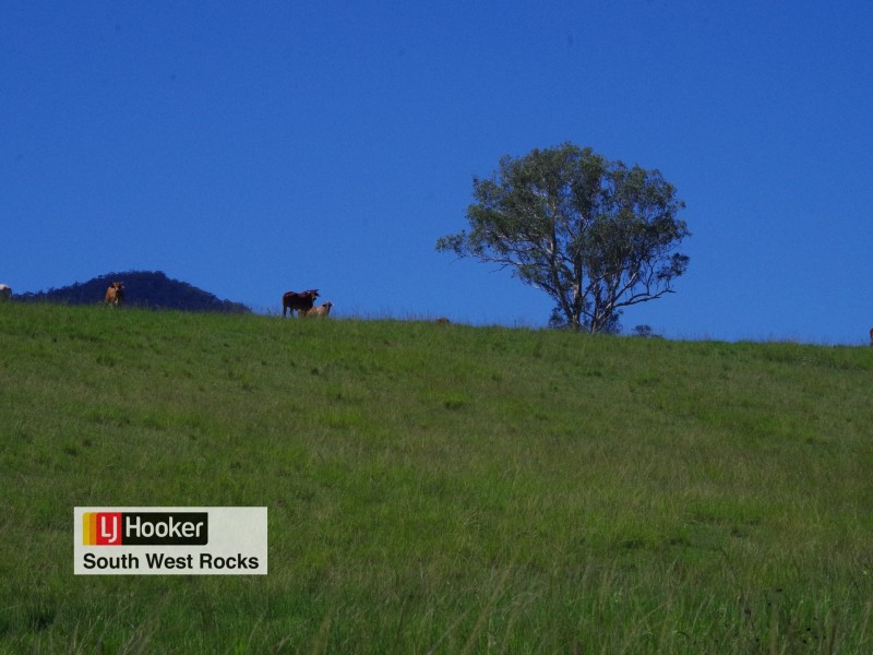 Lot 1 in D Five Day Creek Road, Comara NSW 2440