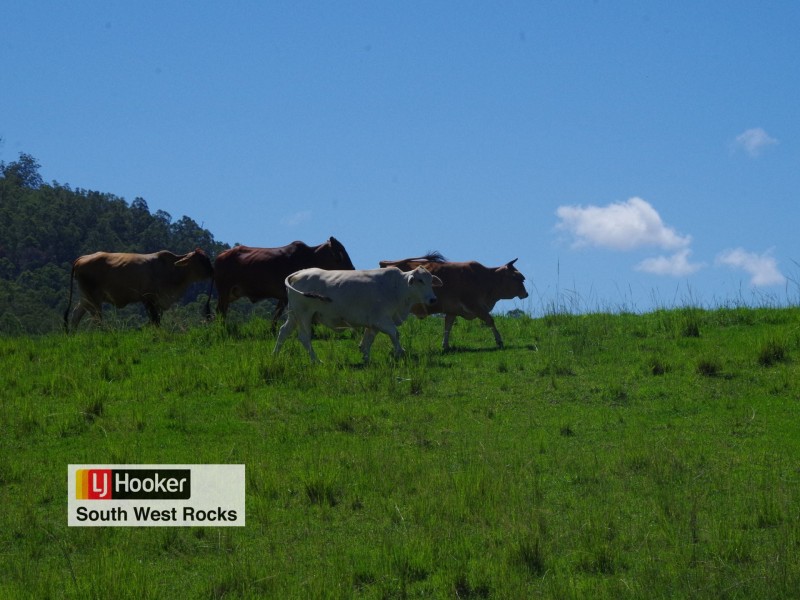 Lot 1 in D Five Day Creek Road, Comara NSW 2440