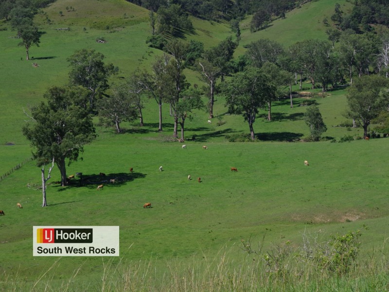 Lot 1 in D Five Day Creek Road, Comara NSW 2440