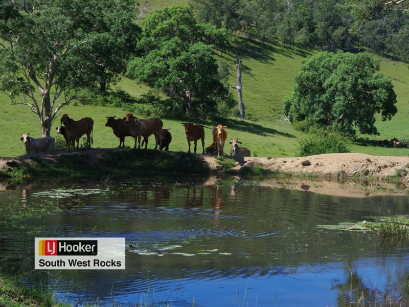 Lot 1 in D Five Day Creek Road, Comara NSW 2440