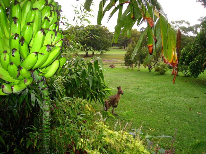 22 Cook Drive, South West Rocks NSW 2431