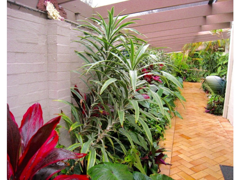 22 Cook Drive, South West Rocks NSW 2431