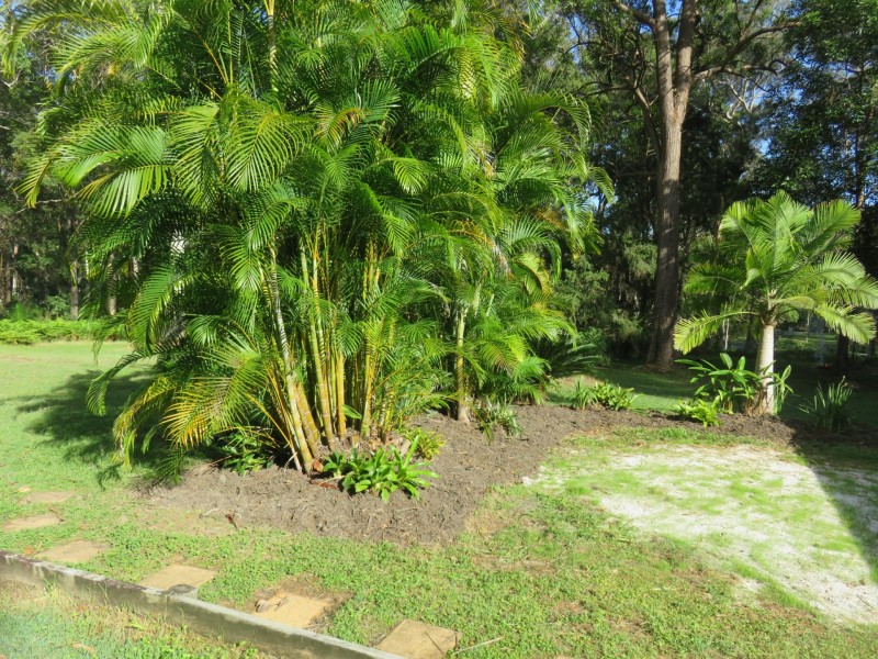 24 Bullocks Quarry Road, Arakoon NSW 2431