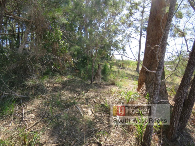 18 Trevor Judd Place, South West Rocks NSW 2431