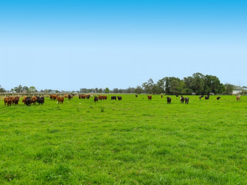 244 Menarcobrinni Road, Clybucca NSW 2440