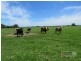 639 Outer Road, Austral Eden NSW 2440