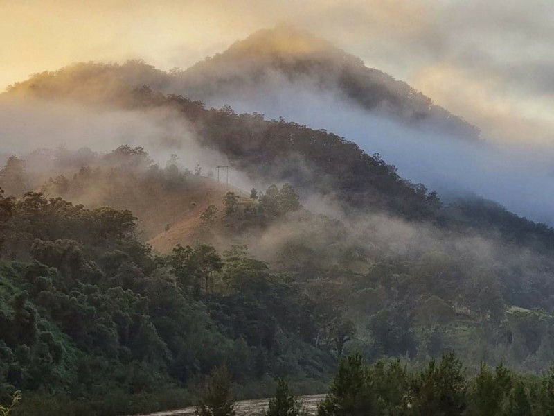 47 Pee Dee Road, Bellbrook NSW 2440