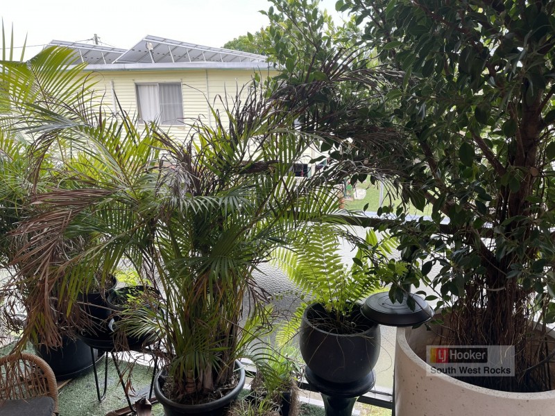 6/34 McIntyre Street, South West Rocks NSW 2431