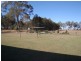 Sharon QLD 4670