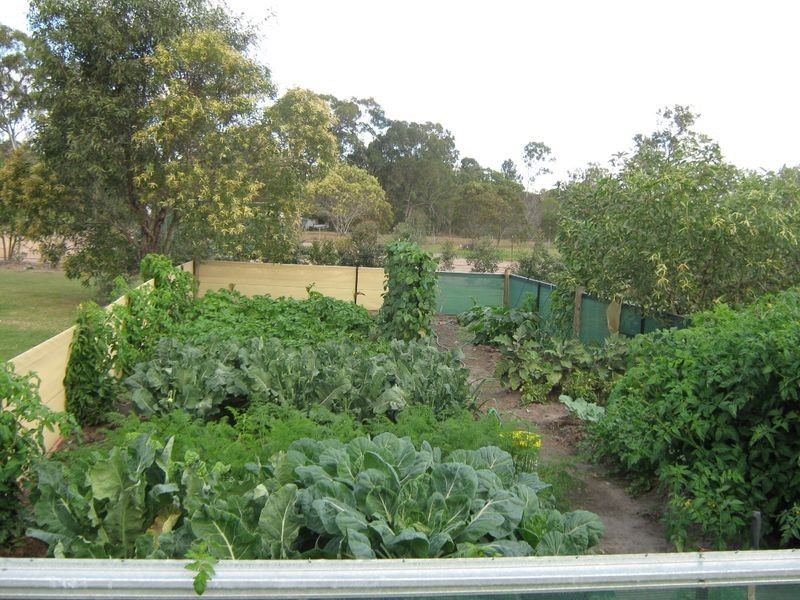 Avenell Heights QLD 4670