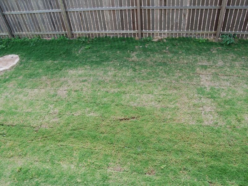 19 Mulgrave Street, Bundaberg West QLD 4670