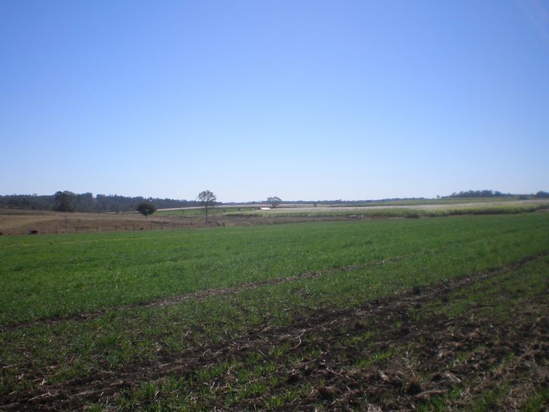 Gin Gin QLD 4671