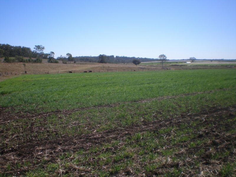 Gin Gin QLD 4671
