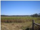 Gin Gin QLD 4671