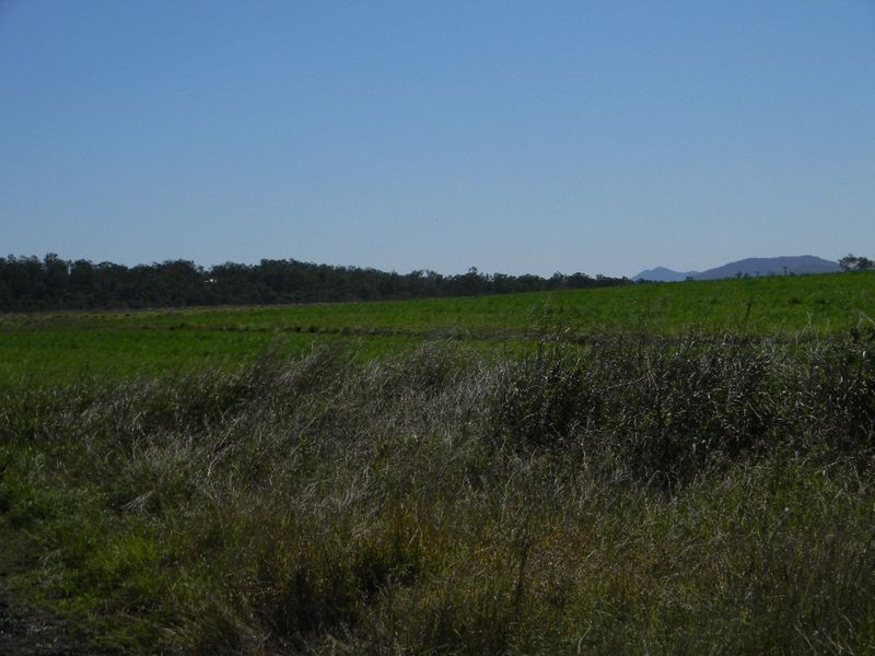 Gin Gin QLD 4671