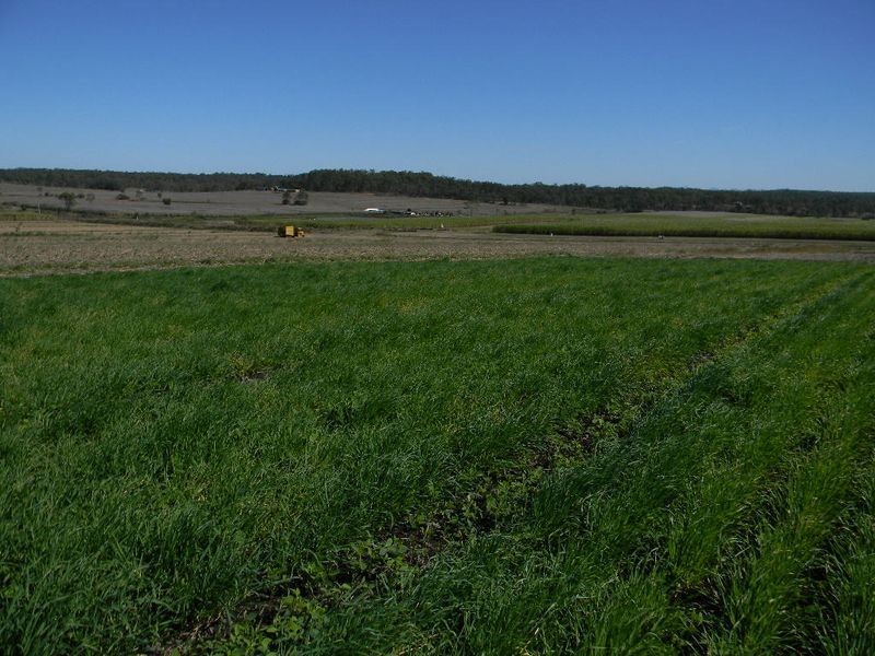 Gin Gin QLD 4671