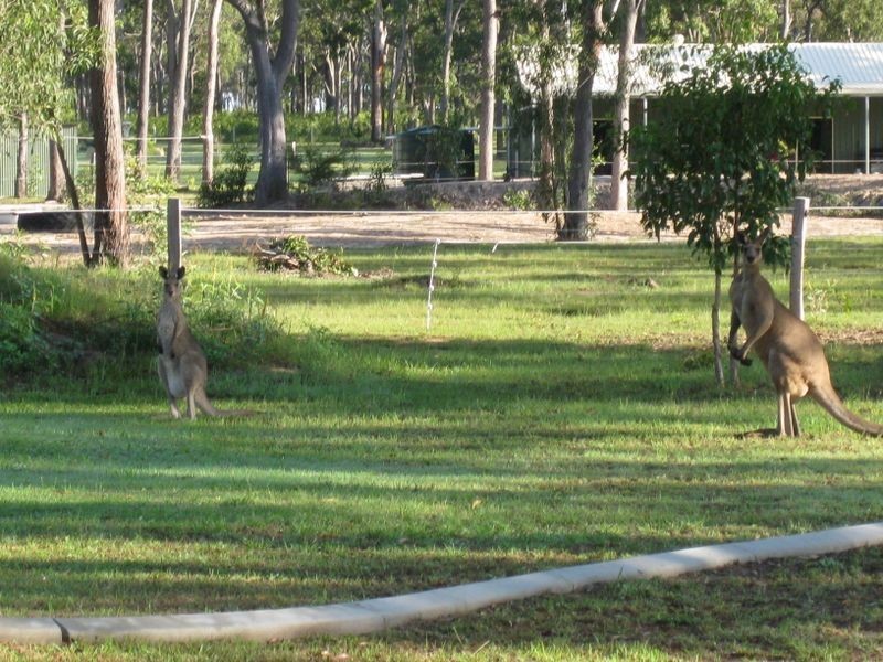 Moore Park Beach QLD 4670