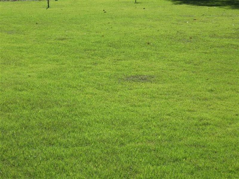 Bundaberg Central QLD 4670