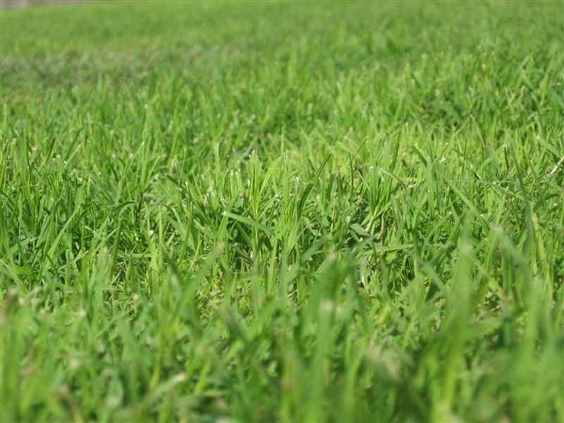 Bundaberg Central QLD 4670