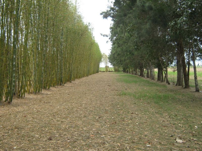 Burnett Heads QLD 4670