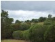 299 Bungadoo Road, Booyal QLD 4671