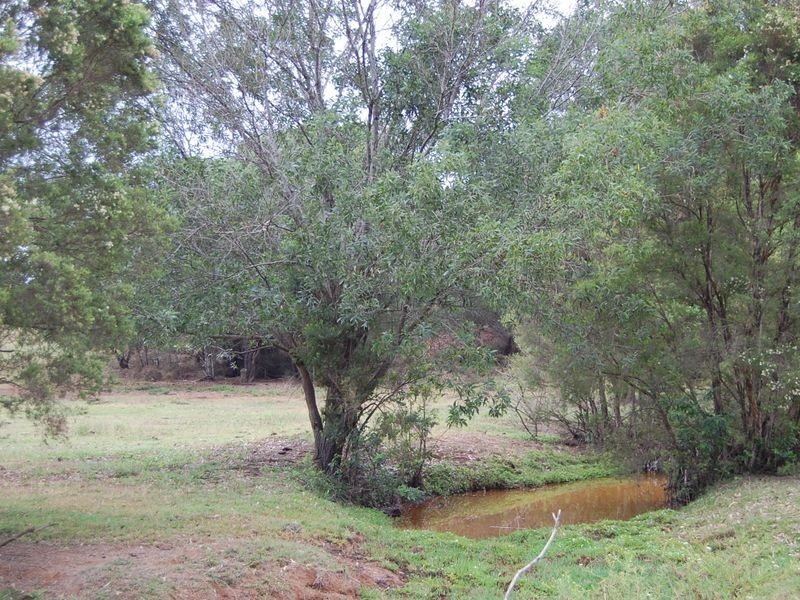 299 Bungadoo Road, Booyal QLD 4671