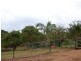 299 Bungadoo Road, Booyal QLD 4671