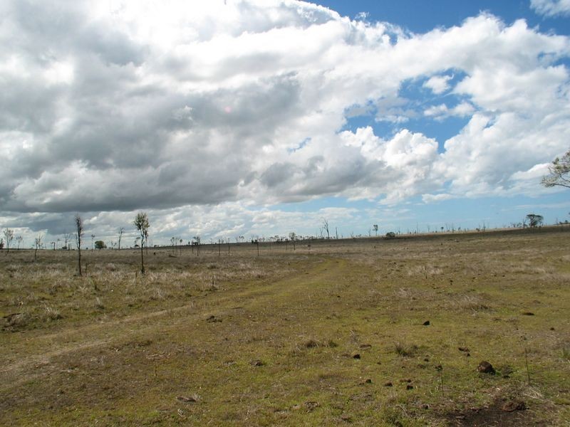 Calavos QLD 4670