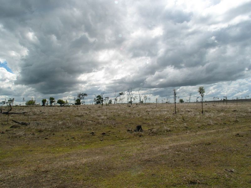 Calavos QLD 4670