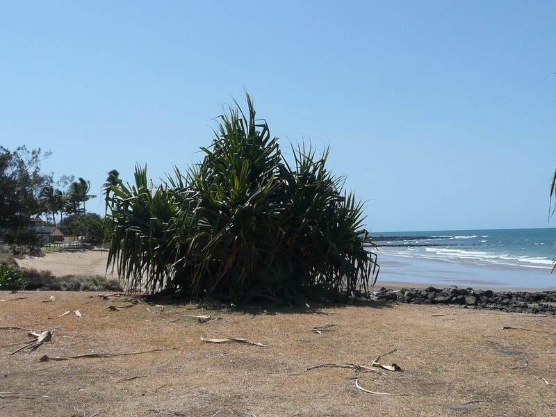Bargara QLD 4670