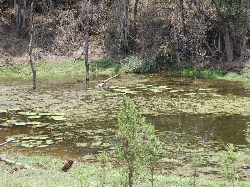 176 Wallaville-Goondoon Road, Booyal QLD 4671