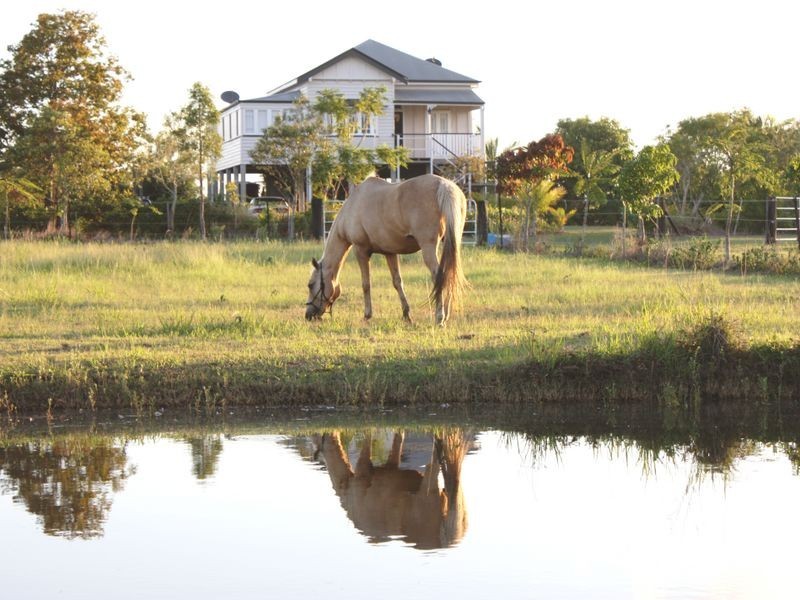 62 Fairydale Road, Welcome Creek QLD 4670