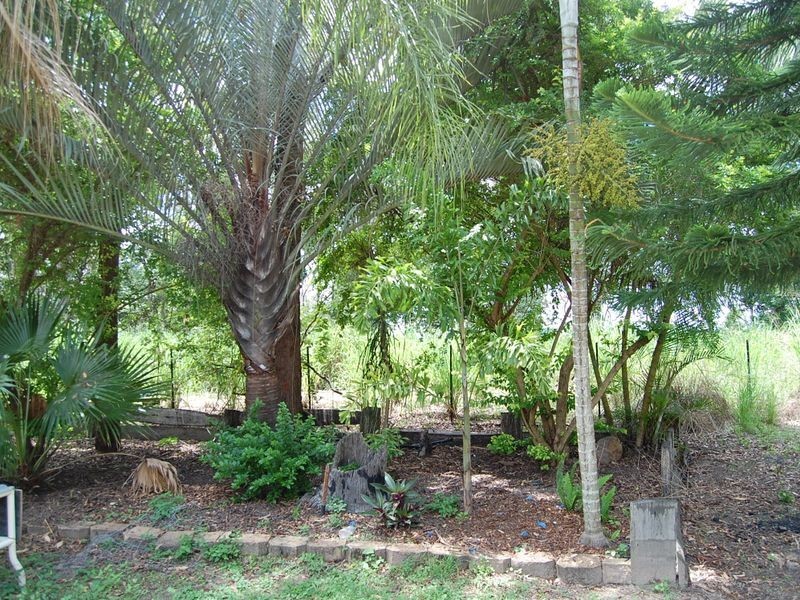 South Bingera QLD 4670