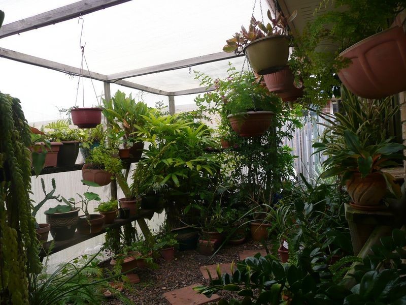 9 Venus Court, Bargara QLD 4670