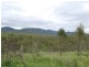 Lot 43 Old Toweran Road, Berajondo QLD 4674