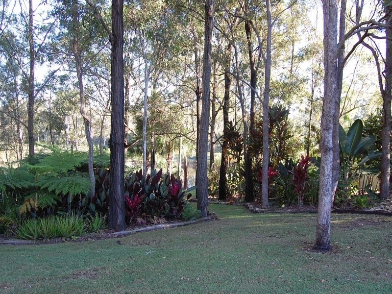40 Palm Springs Drive, Calavos QLD 4670
