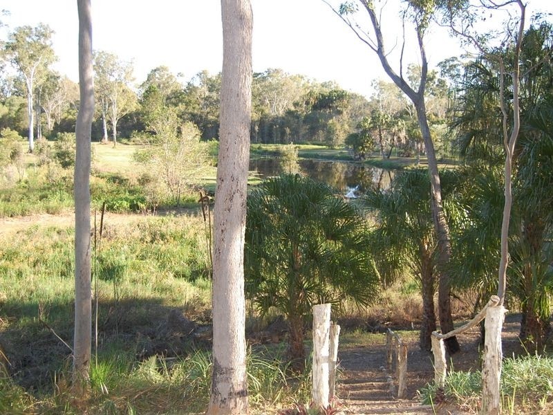 40 Palm Springs Drive, Calavos QLD 4670
